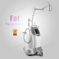 medical weigh loss for clinic body fat solubilization body shape fat terminator SPA machine